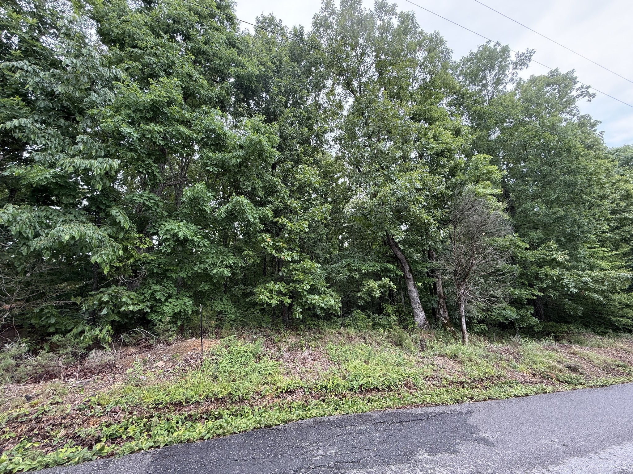 2 Anglin Ridge Road Dover TN 37058