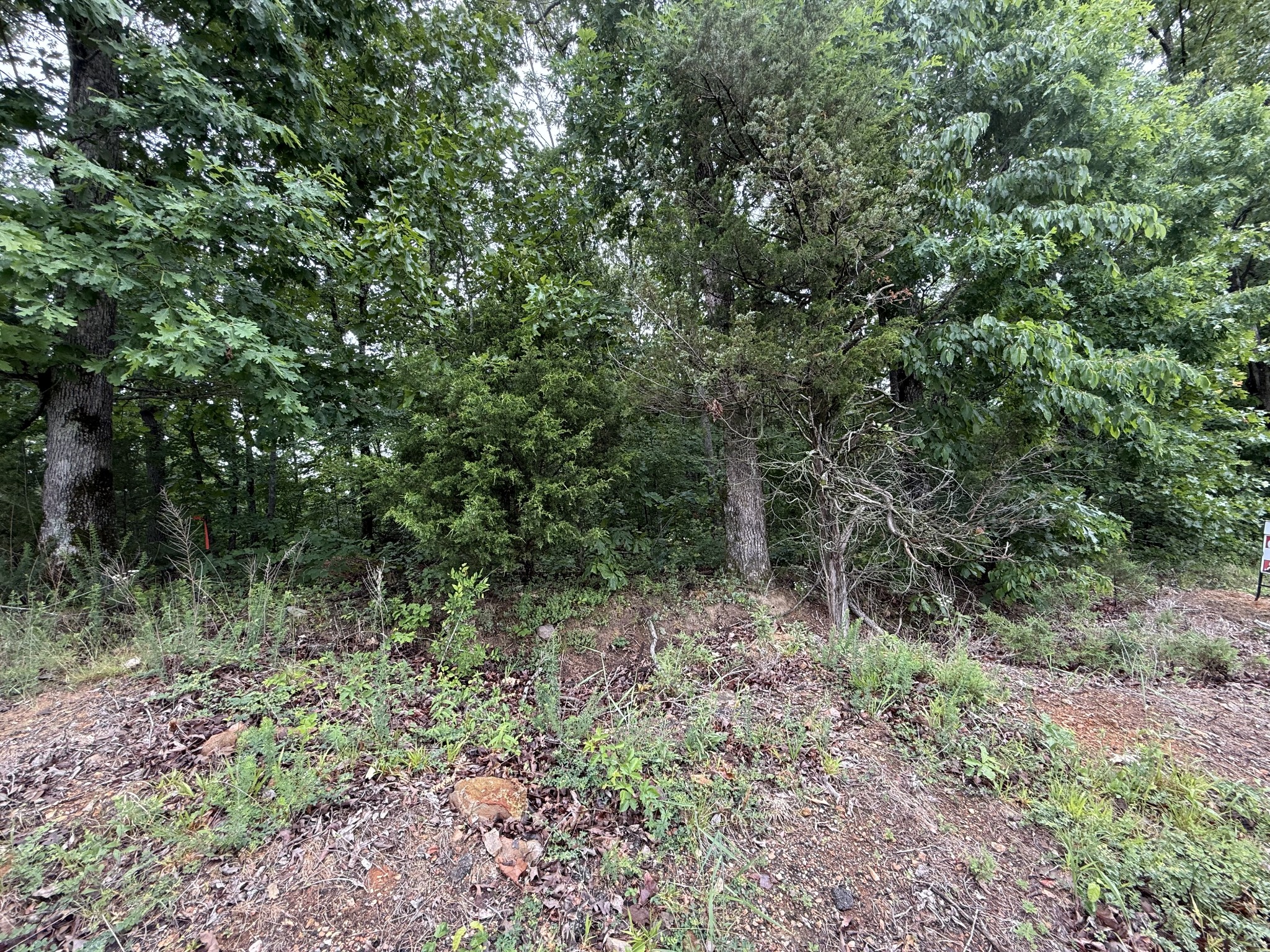 2 Anglin Ridge Road Dover TN 37058