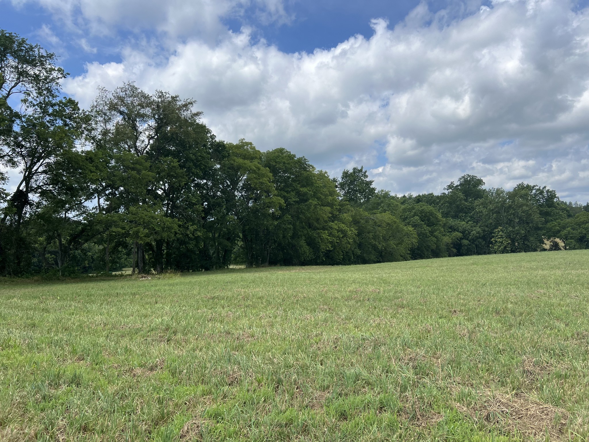 3011 Blythe Meadow Lane Arrington TN 37014