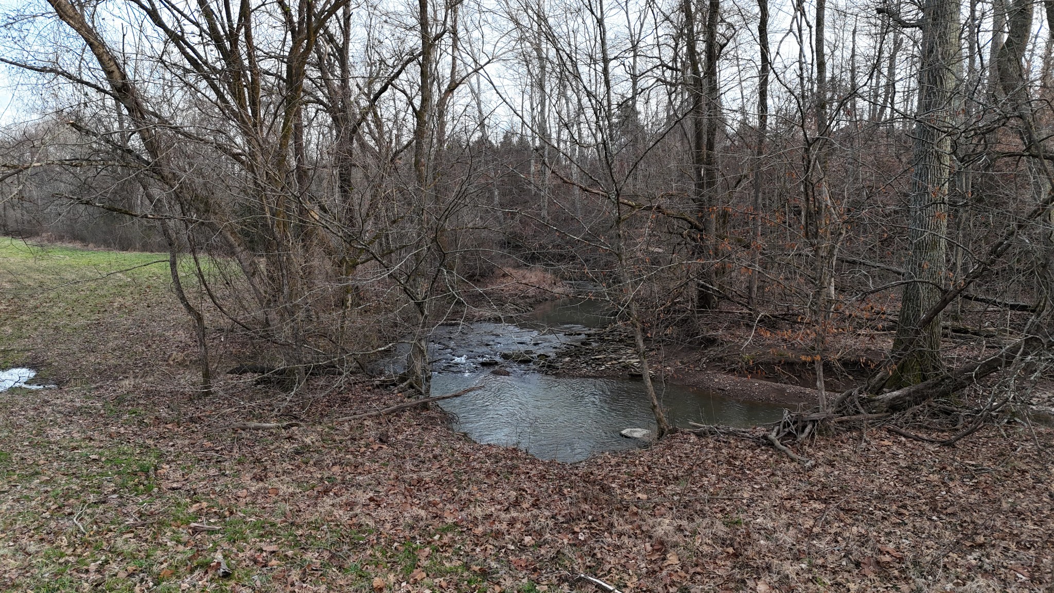 3011 Blythe Meadow Lane Arrington TN 37014