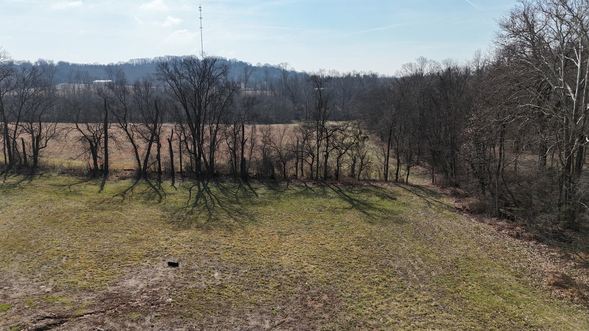 3011 Blythe Meadow Lane Arrington TN 37014