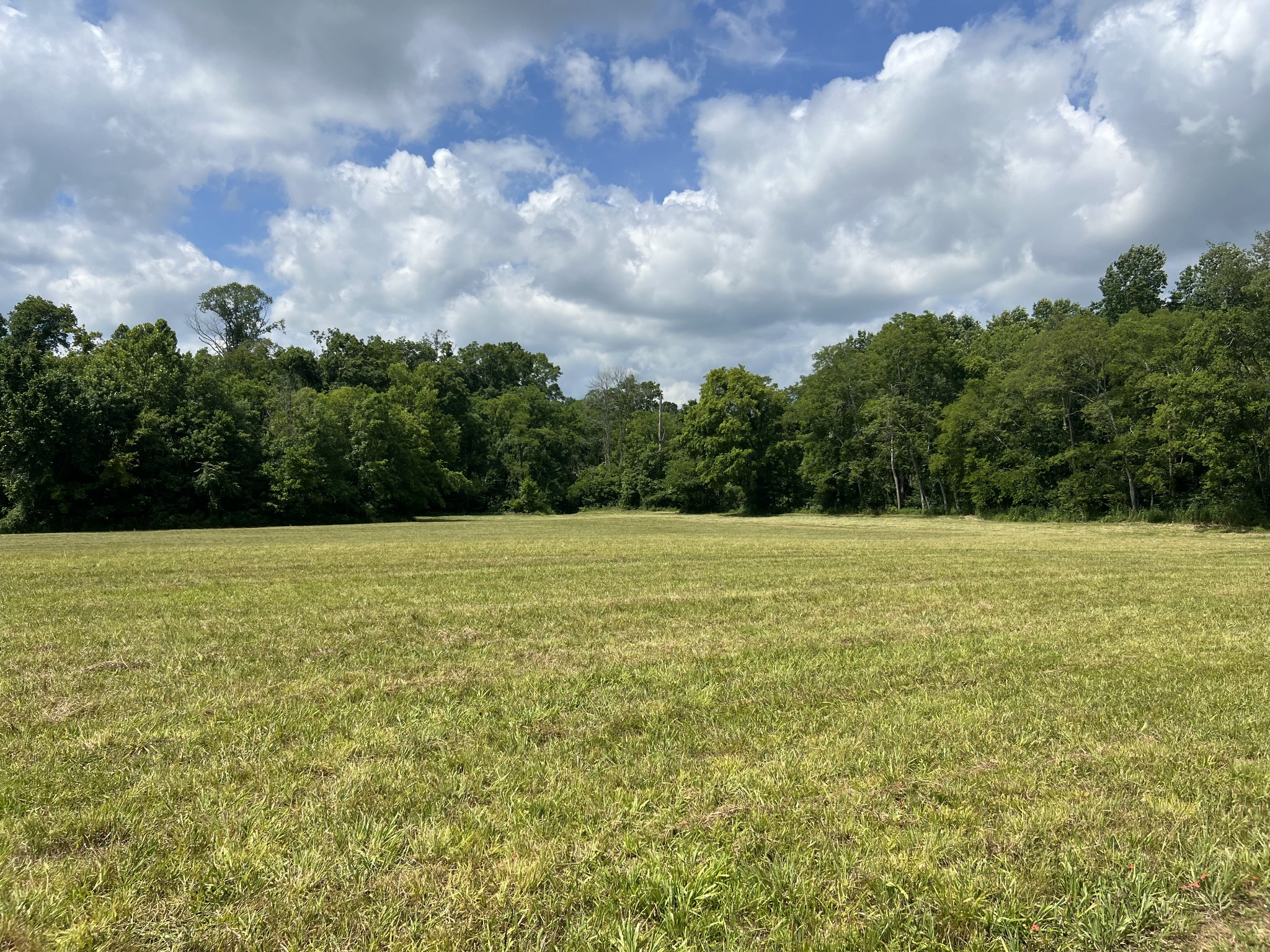 3011 Blythe Meadow Lane Arrington TN 37014