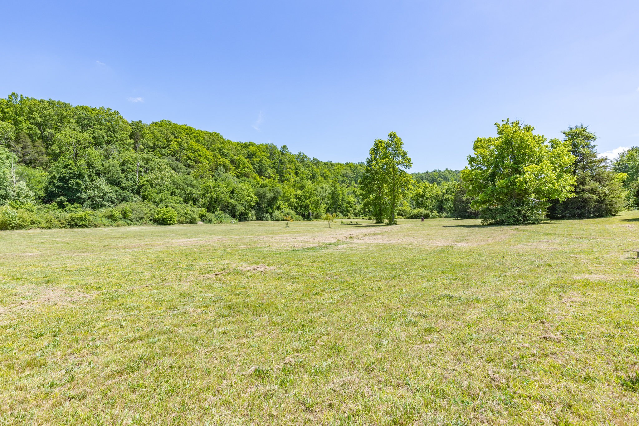 615 Little Swan Creek Road Hohenwald TN 38462