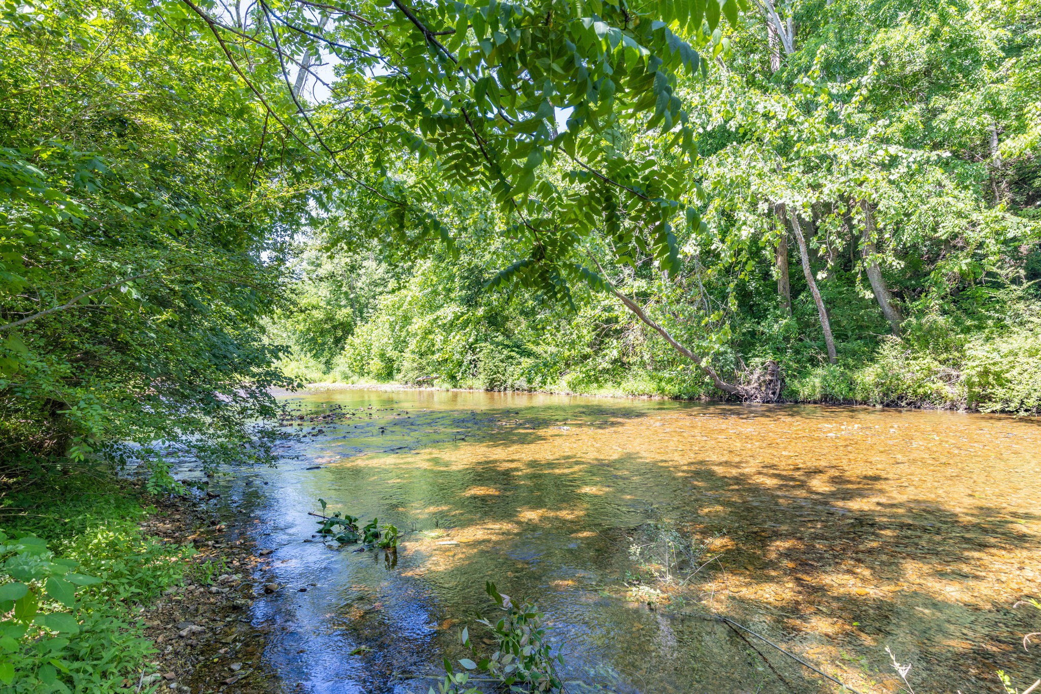 615 Little Swan Creek Road Hohenwald TN 38462