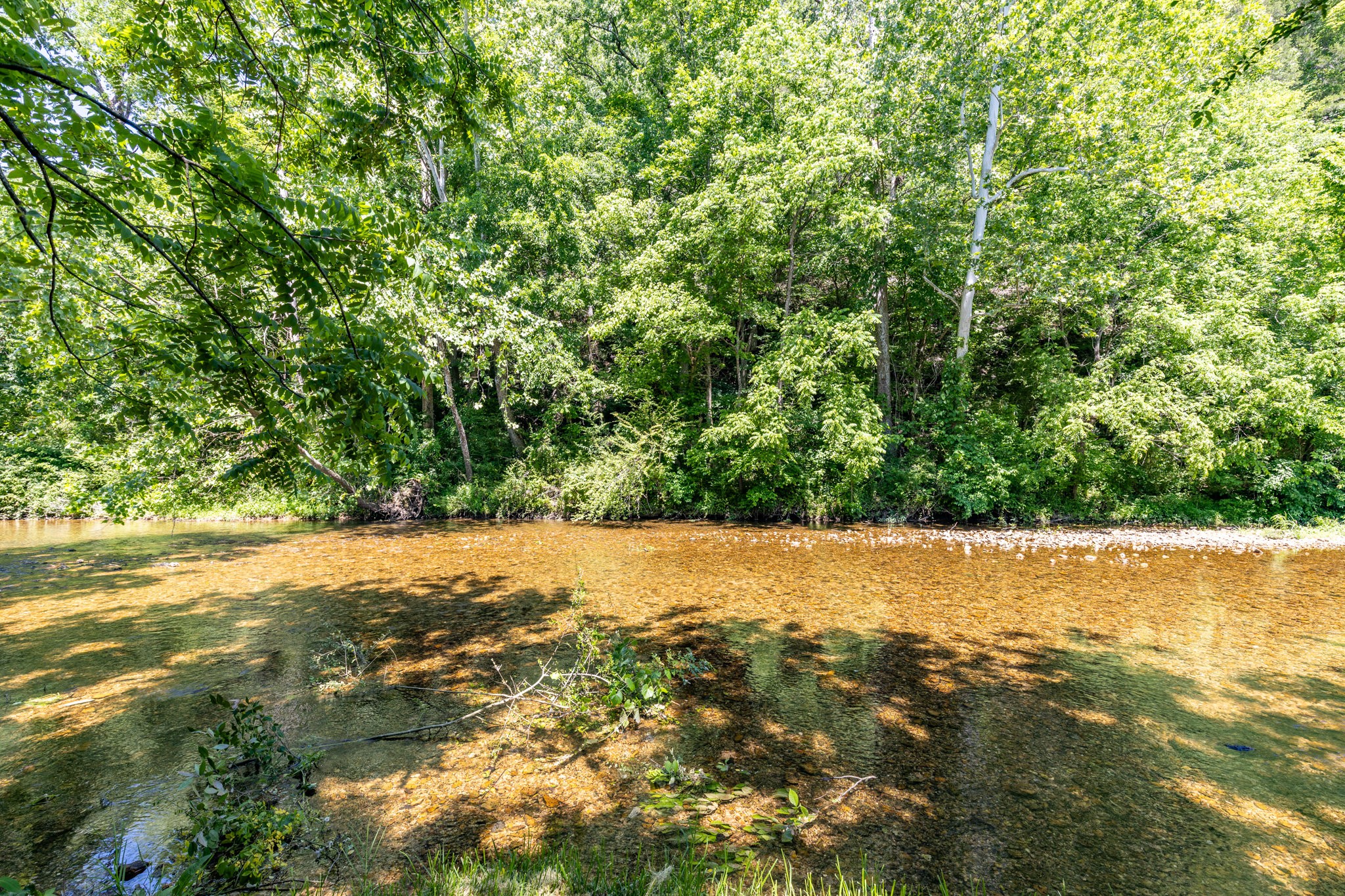 615 Little Swan Creek Road Hohenwald TN 38462