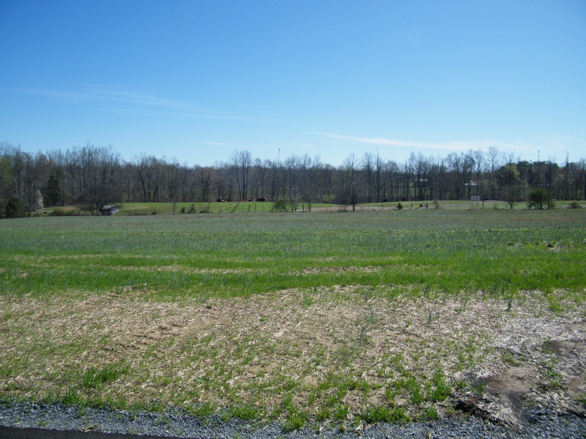 190 Daniel Lane Westmoreland TN 37186