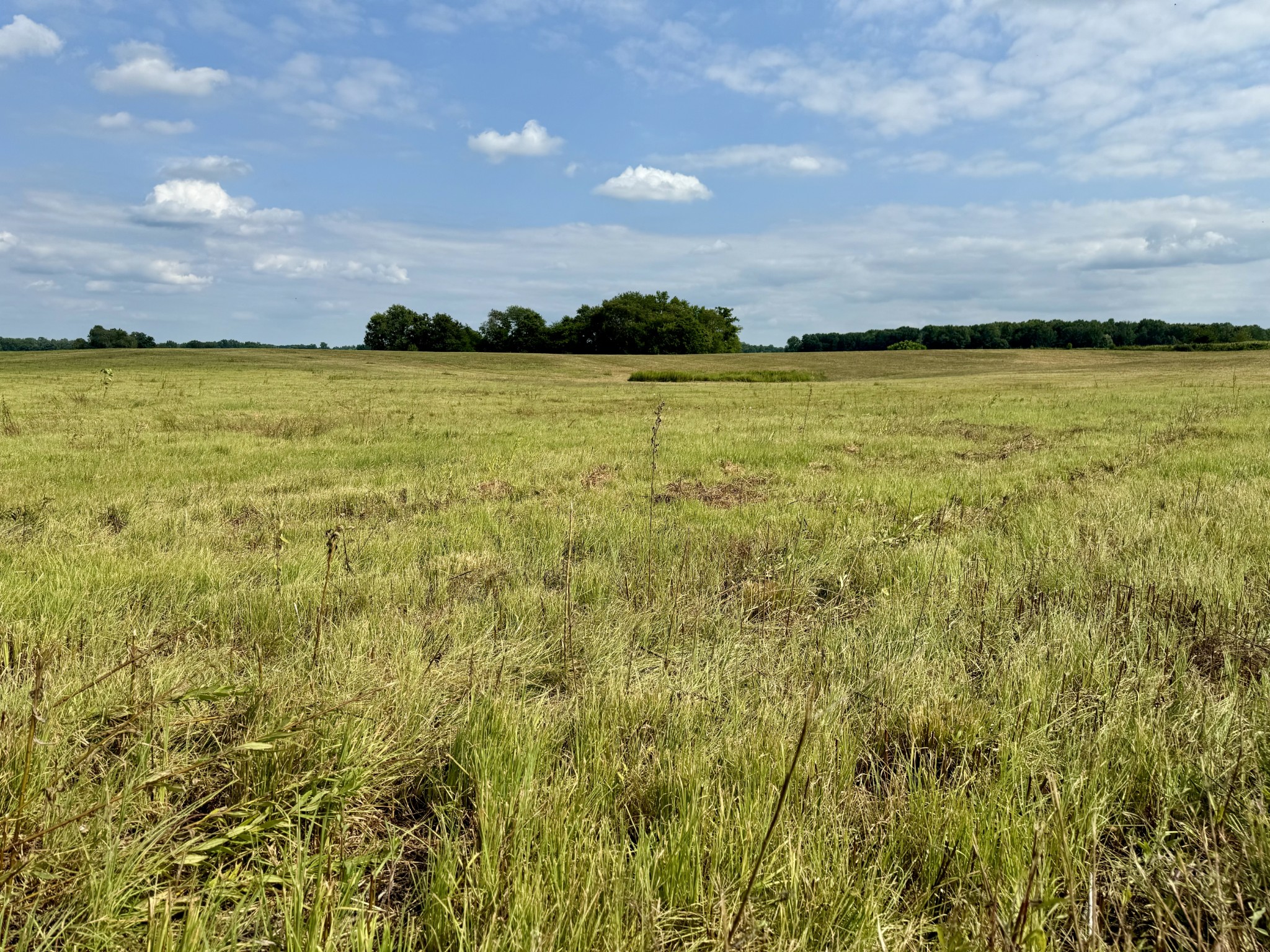 2058 Highway 259 Portland TN 37148