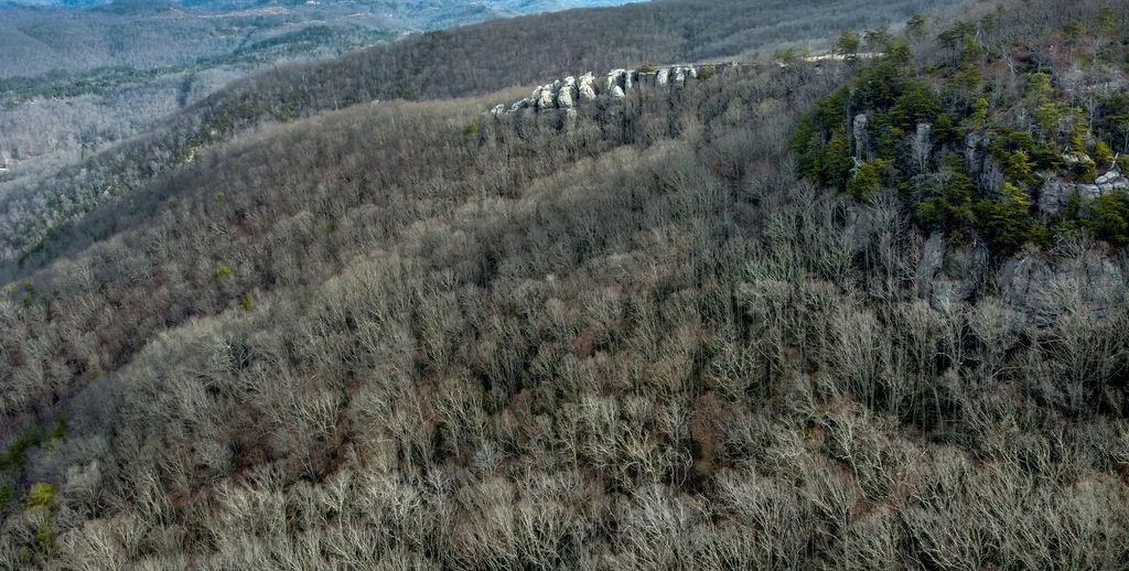 0 Chimney Rock Lane La Follette TN 37766