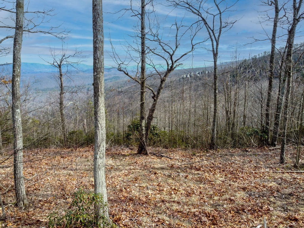 0 Chimney Rock Lane La Follette TN 37766