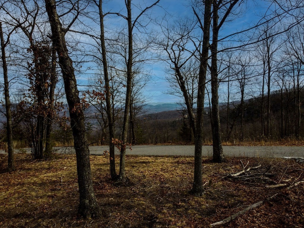 0 Chimney Rock Lane La Follette TN 37766