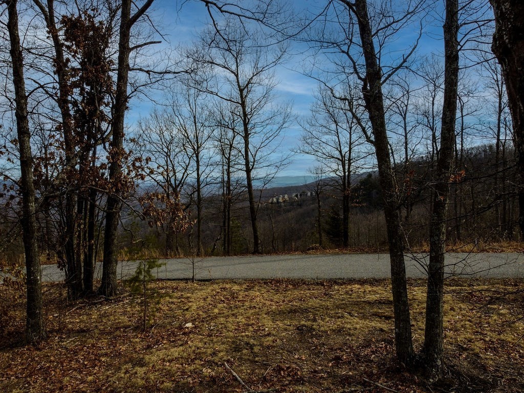 0 Chimney Rock Lane La Follette TN 37766