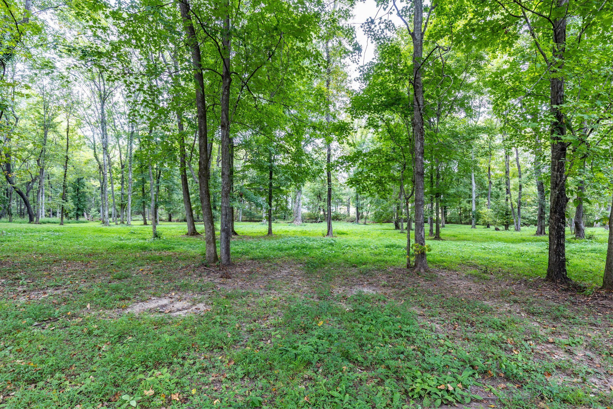 1502 New Deal Potts Road Portland TN 37148