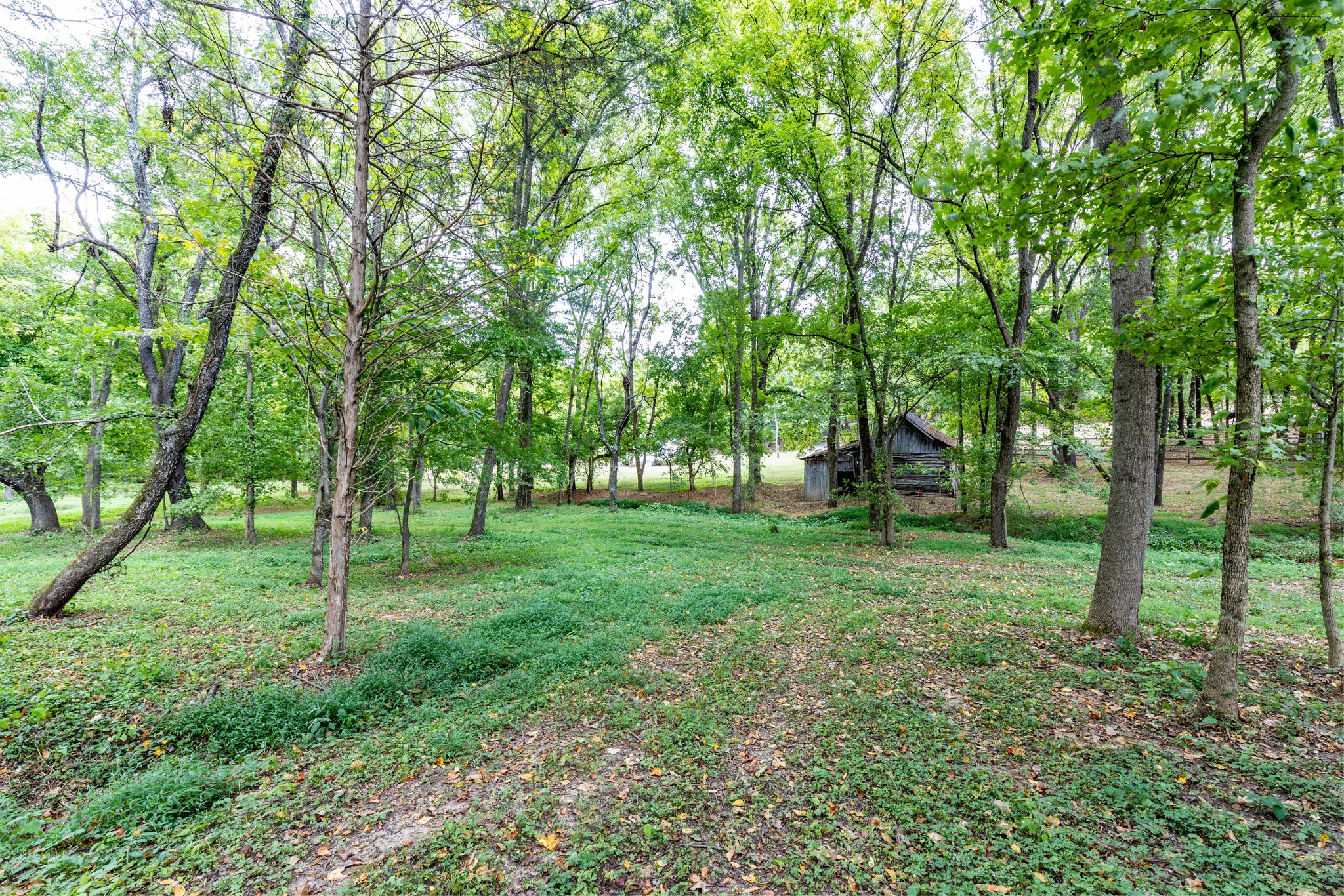 1502 New Deal Potts Road Portland TN 37148