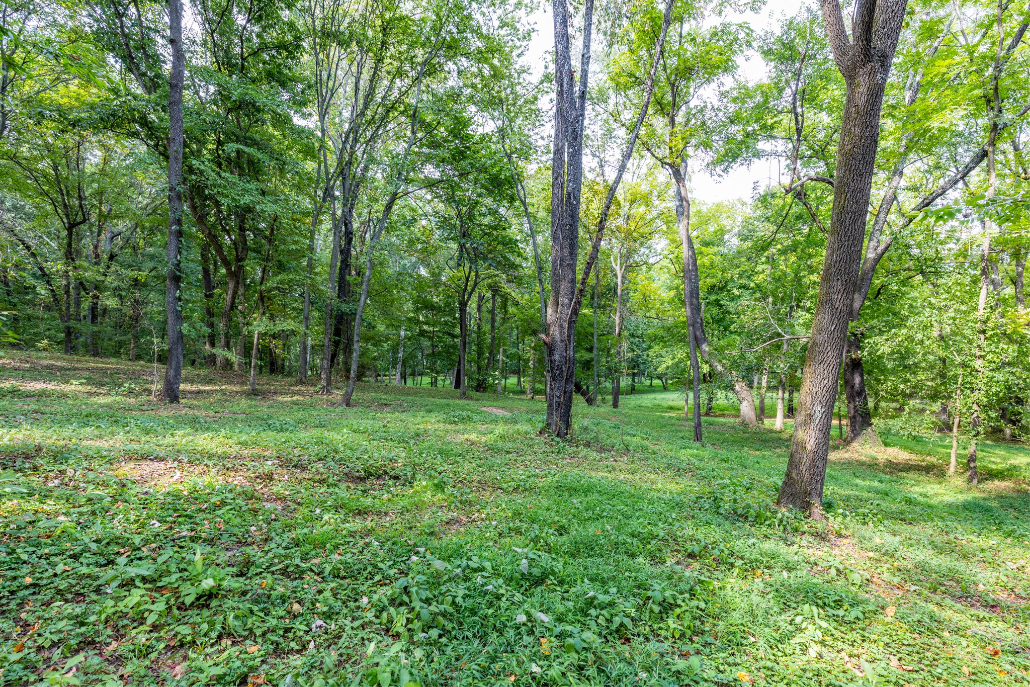 1502 New Deal Potts Road Portland TN 37148