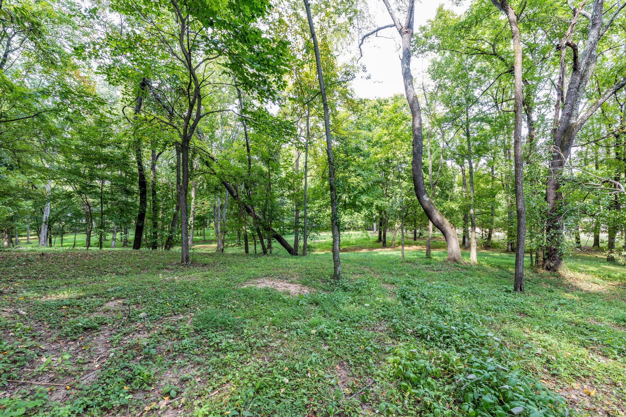 1502 New Deal Potts Road Portland TN 37148