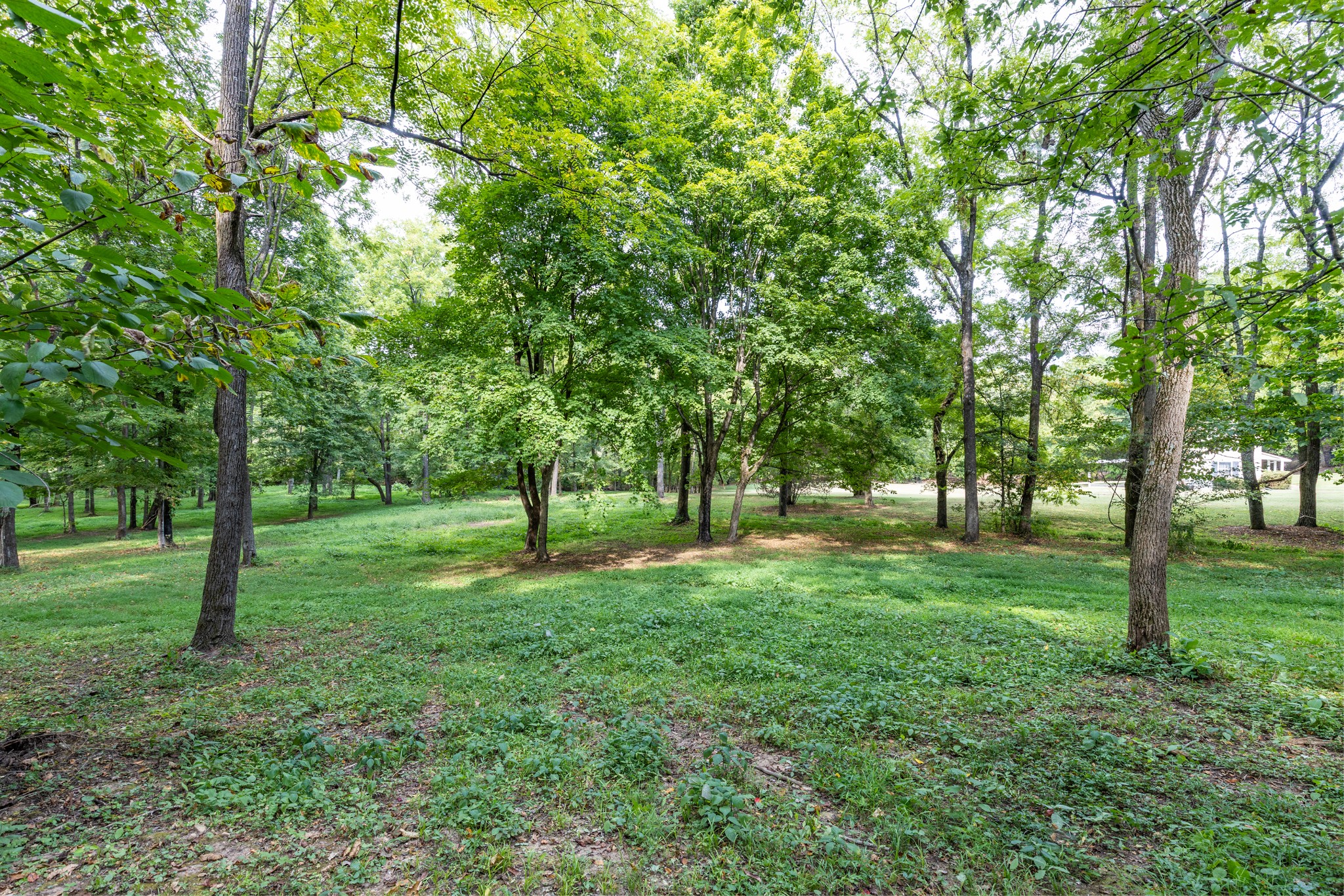 1502 New Deal Potts Road Portland TN 37148