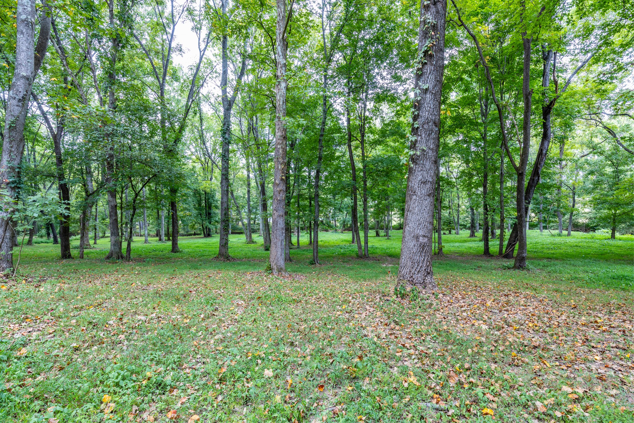 1502 New Deal Potts Road Portland TN 37148
