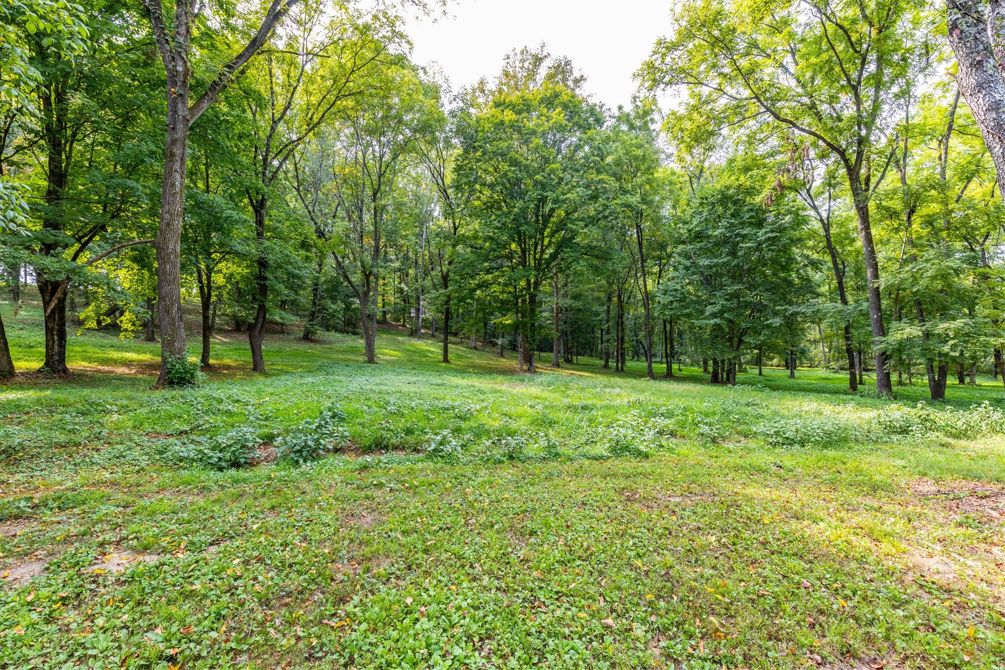 1502 New Deal Potts Road Portland TN 37148