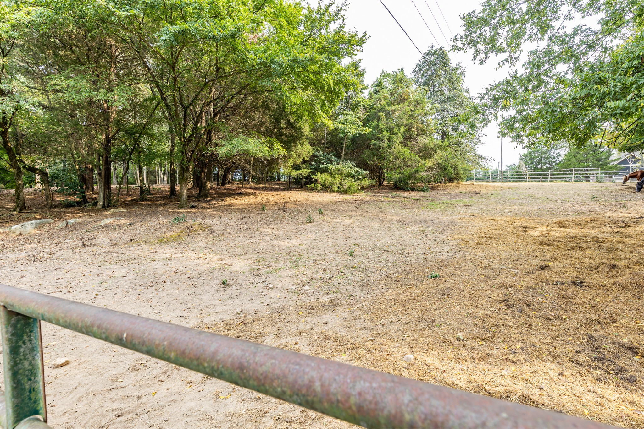 1502 New Deal Potts Road Portland TN 37148