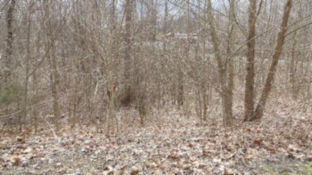 0 Beaver Lane Gainesboro TN 38562