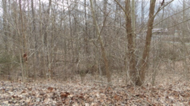 0 Beaver Lane Gainesboro TN 38562