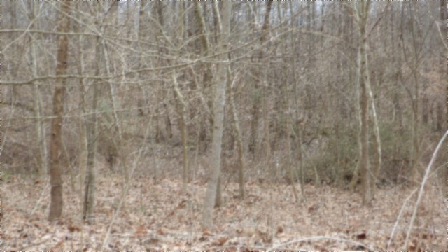 0 Beaver Lane Gainesboro TN 38562