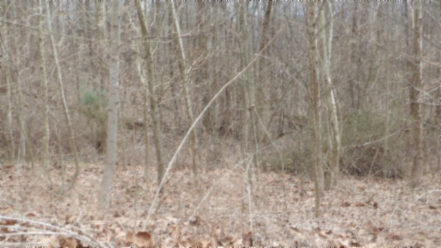 0 Beaver Lane Gainesboro TN 38562
