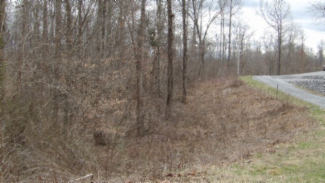 0 Beaver Lane Gainesboro TN 38562