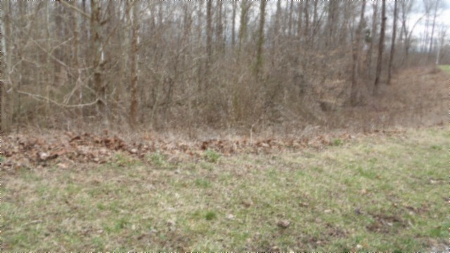 0 Beaver Lane Gainesboro TN 38562