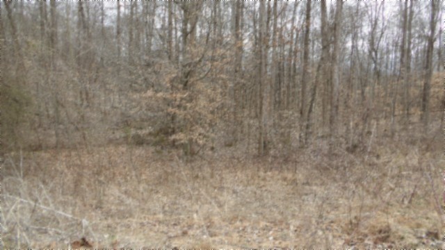 0 Beaver Lane Gainesboro TN 38562