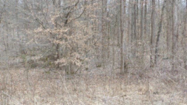 0 Beaver Lane Gainesboro TN 38562