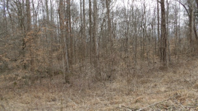 0 Beaver Lane Gainesboro TN 38562