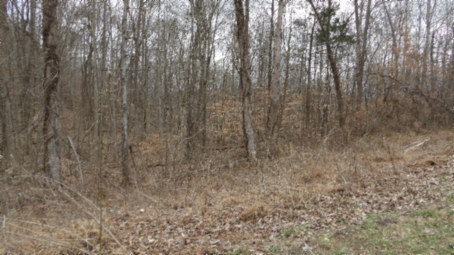 0 Beaver Lane Gainesboro TN 38562