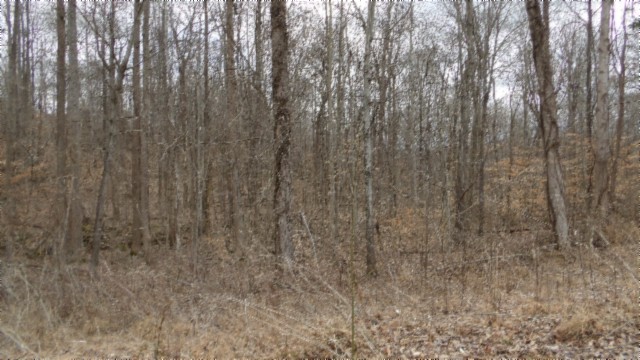 0 Beaver Lane Gainesboro TN 38562