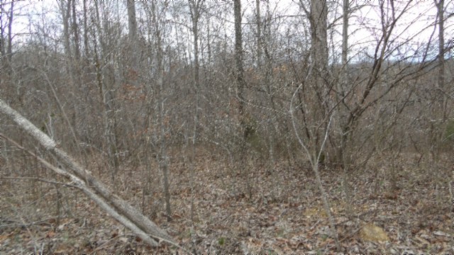 0 Beaver Lane Gainesboro TN 38562
