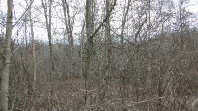 0 Beaver Lane Gainesboro TN 38562
