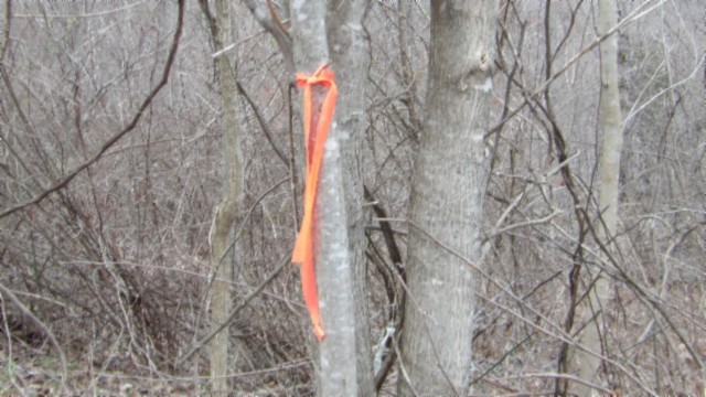 0 Beaver Lane Gainesboro TN 38562