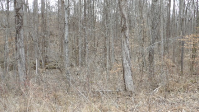 0 Beaver Lane Gainesboro TN 38562