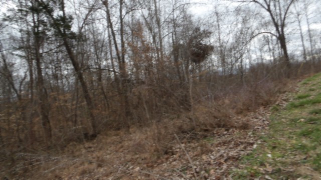 0 Beaver Lane Gainesboro TN 38562