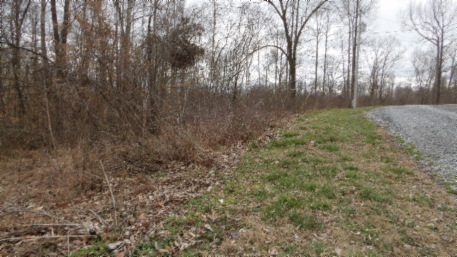 0 Beaver Lane Gainesboro TN 38562