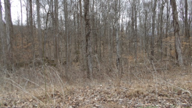 0 Beaver Lane Gainesboro TN 38562