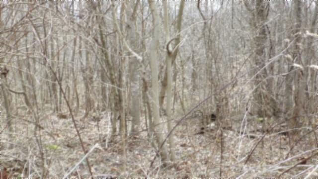 0 Beaver Lane Gainesboro TN 38562