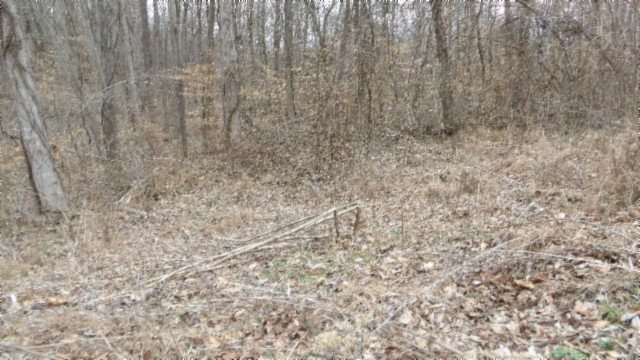 0 Beaver Lane Gainesboro TN 38562