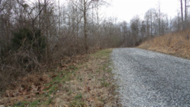 0 Beaver Lane Gainesboro TN 38562