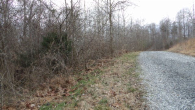 0 Beaver Lane Gainesboro TN 38562