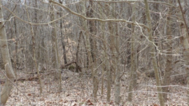 0 Beaver Lane Gainesboro TN 38562