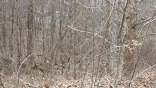 0 Beaver Lane Gainesboro TN 38562