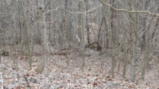 0 Beaver Lane Gainesboro TN 38562