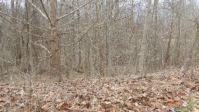 0 Beaver Lane Gainesboro TN 38562