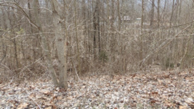 0 Beaver Lane Gainesboro TN 38562